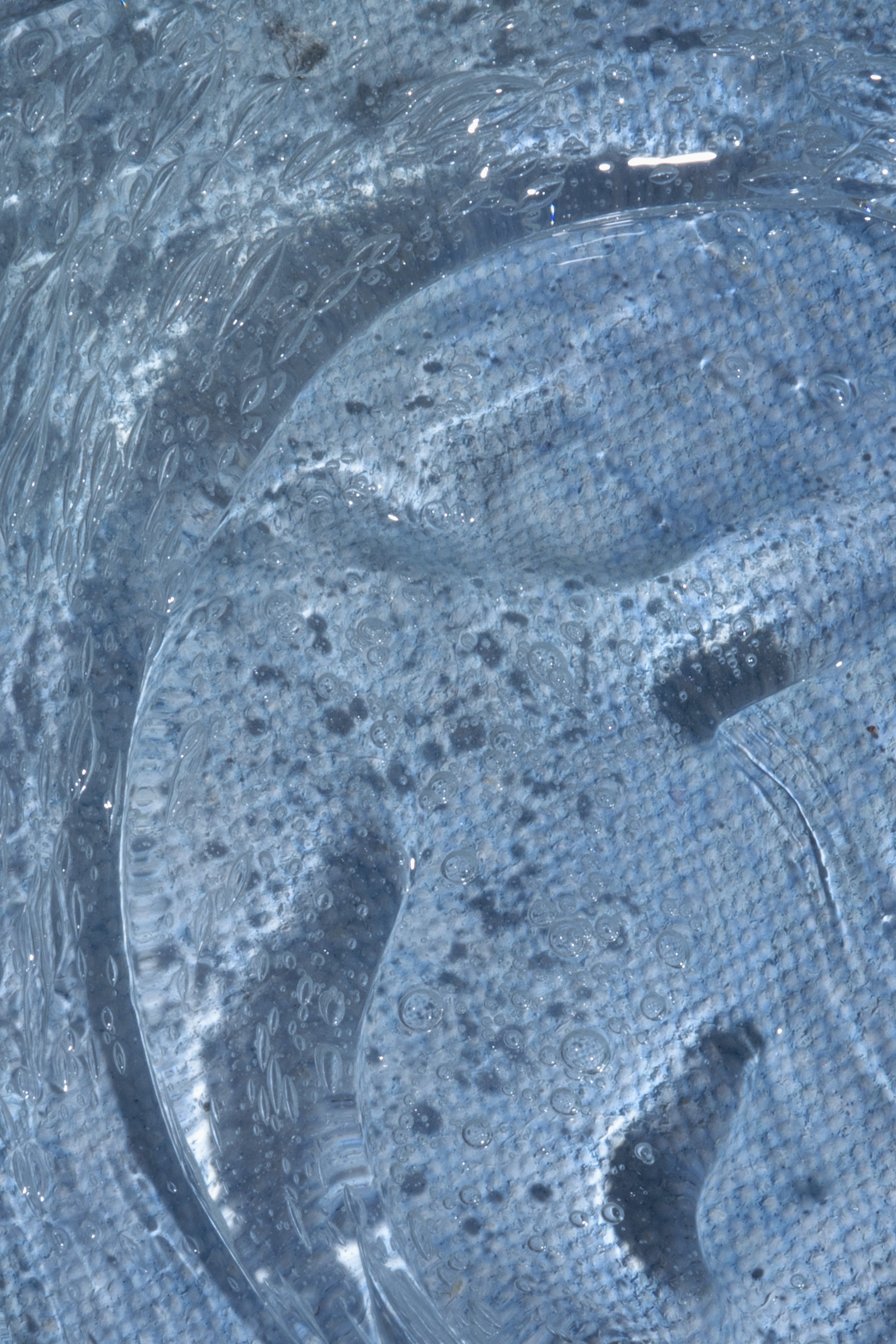 Coastal Wash Shampoo